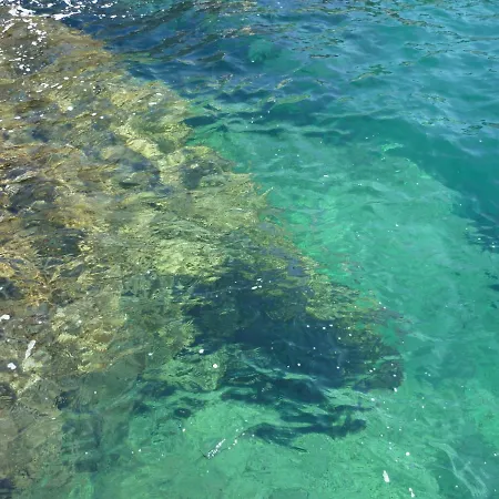 Estivado Sea View - A 50 M Et Piscine Avec דירה קסיס
